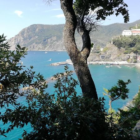 Nel Cuore Di Monterosso Cinque Terre Orto Di Ciack มอนเตรอสโซ อัล มาเร ภายนอก รูปภาพ