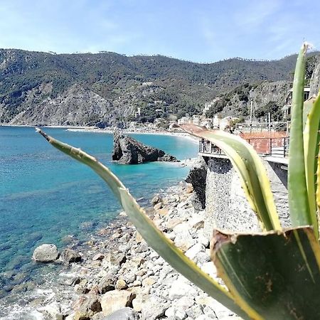 Nel Cuore Di Monterosso Cinque Terre Orto Di Ciack มอนเตรอสโซ อัล มาเร ภายนอก รูปภาพ