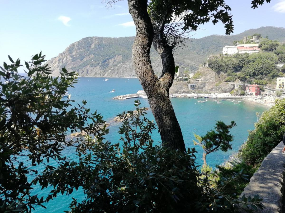 Nel Cuore Di Monterosso Cinque Terre Orto Di Ciack มอนเตรอสโซ อัล มาเร ภายนอก รูปภาพ