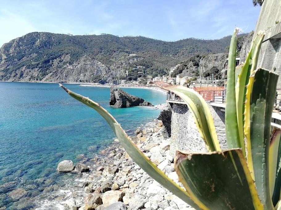 Nel Cuore Di Monterosso Cinque Terre Orto Di Ciack มอนเตรอสโซ อัล มาเร ภายนอก รูปภาพ